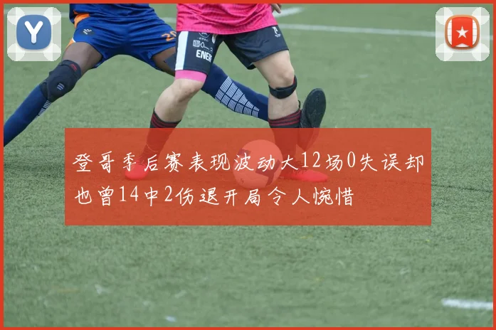 登哥季后赛表现波动大12场0失误却也曾14中2伤退开局令人惋惜